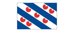 Provincievlaggen friesland 20 x 30 cm