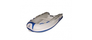 Lodestar RIB 260 light met polyester bodem