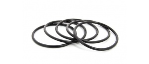 Set: O-ring (5x) voor Vetus FTR330